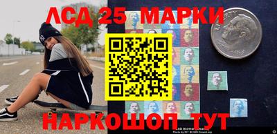 гидропоника Моздок