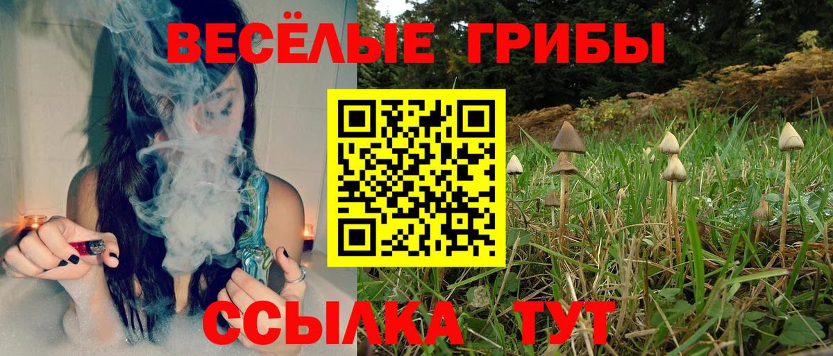 Пенза  Псилоцибиновые грибы Magic Shrooms  Псилоцибиновые грибы Cubensis  Вход с VPN 